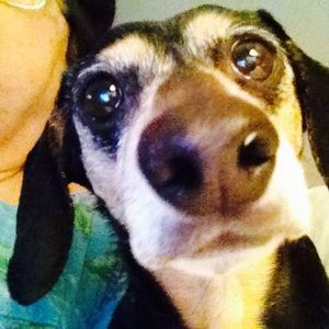 Meet your Posher, Sue